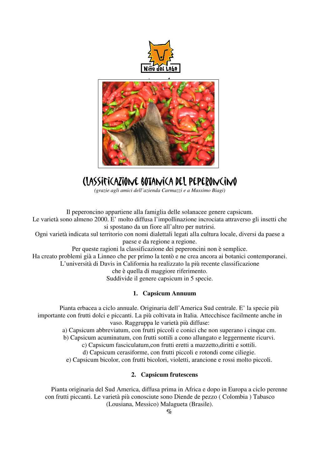 Classificazione Botanica Del Peperoncino (Grazie Agli Amici Dell’Azienda Carmazzi E a Massimo Biagi)