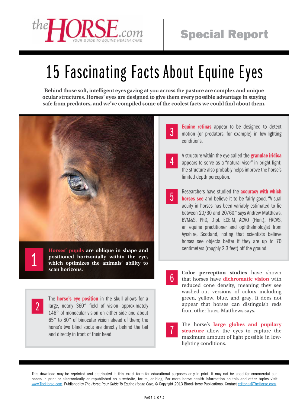 15 Fascinating Facts About Equine Eyes Behind Those Soft, Intelligent Eyes Gazing at You Across the Pasture Are Complex and Unique Ocular Structures