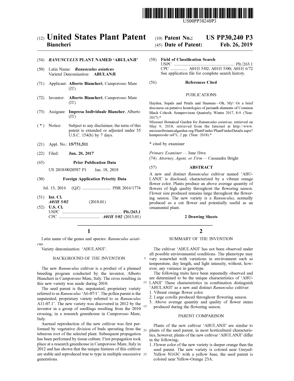 ( 12 ) United States Plant Patent ( 10 ) Patent No . : US PP30 , 240 P3