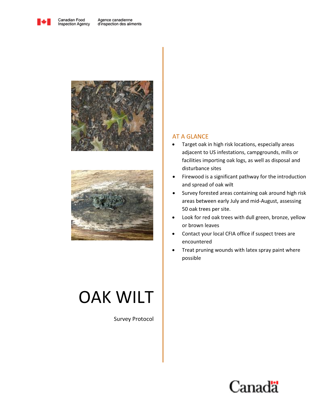 Oak Wilt  Survey Forested Areas Containing Oak Around High Risk Areas Between Early July and Mid-August, Assessing 50 Oak Trees Per Site