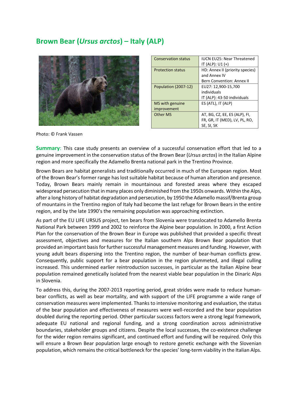 Brown Bear (Ursus Arctos) – Italy (ALP)