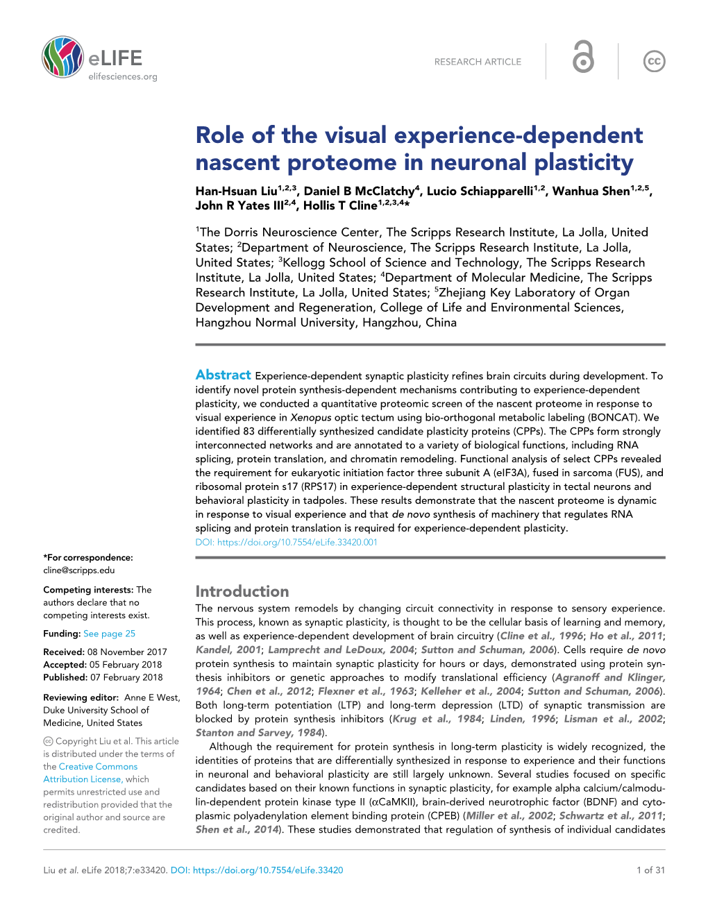 Role of the Visual Experience-Dependent Nascent