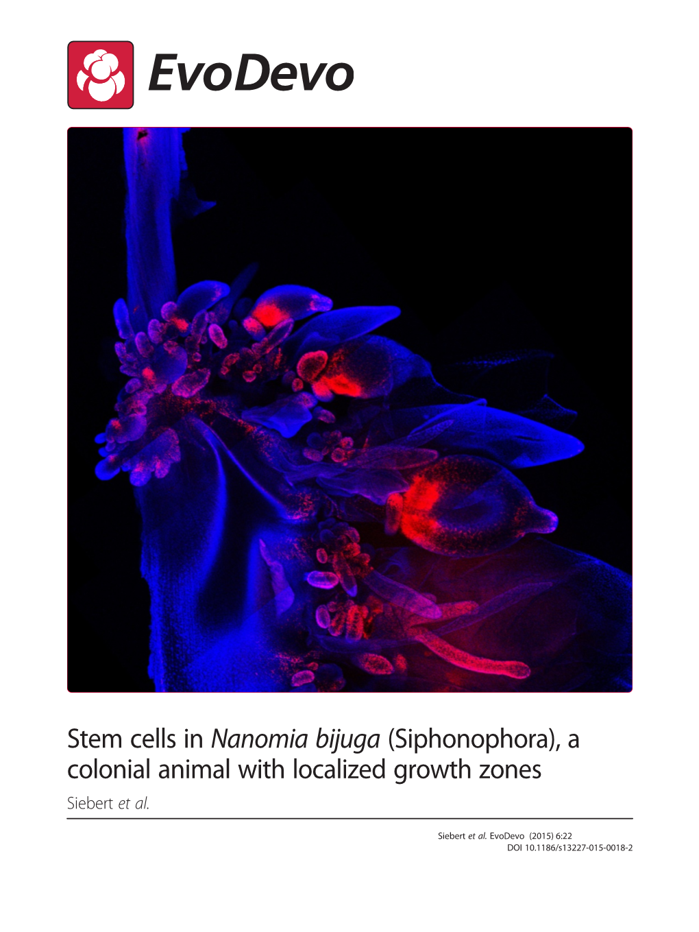 Stem Cells in Nanomia Bijuga (Siphonophora), a Colonial Animal with Localized Growth Zones Siebert Et Al