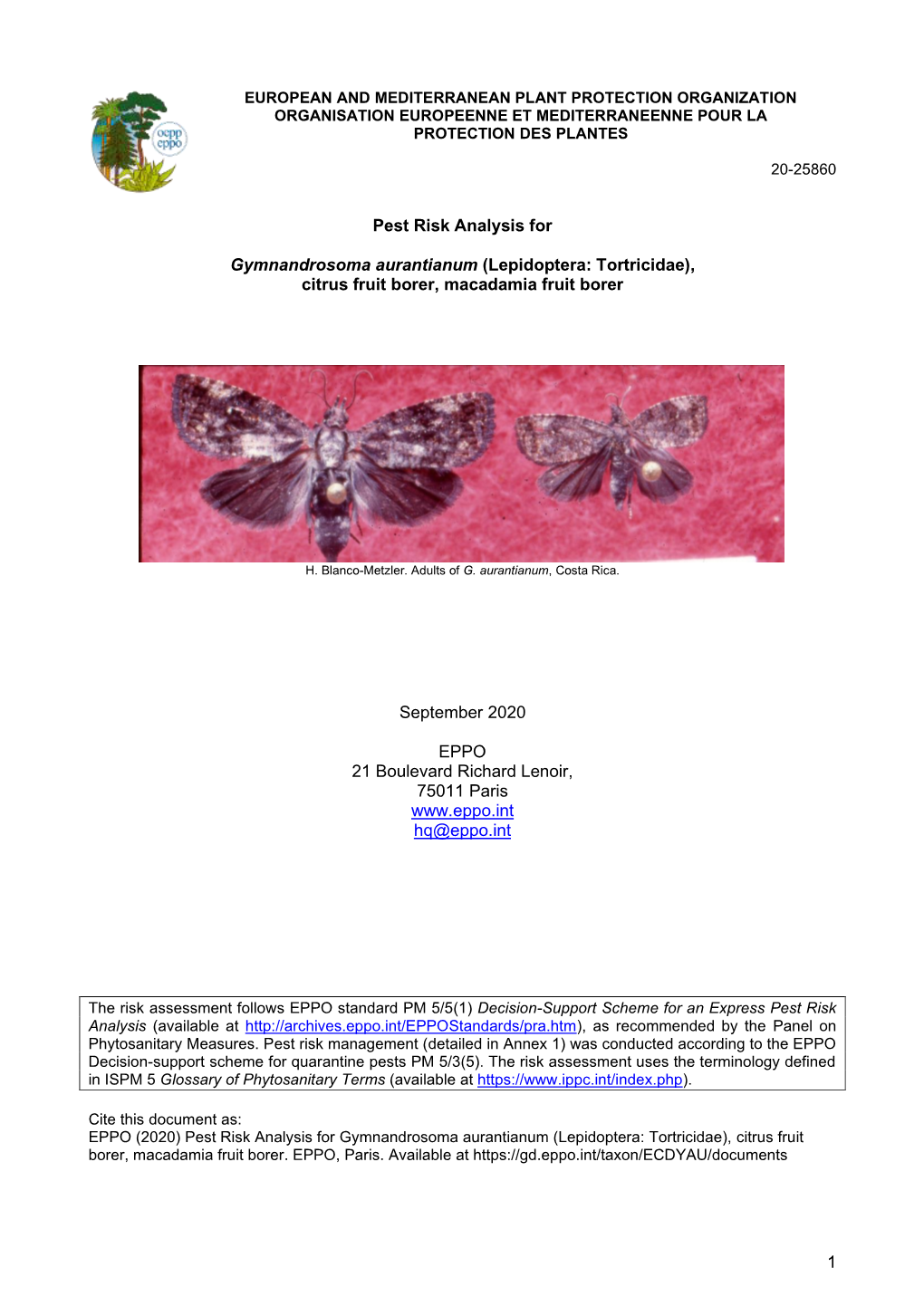 1 Pest Risk Analysis for Gymnandrosoma Aurantianum