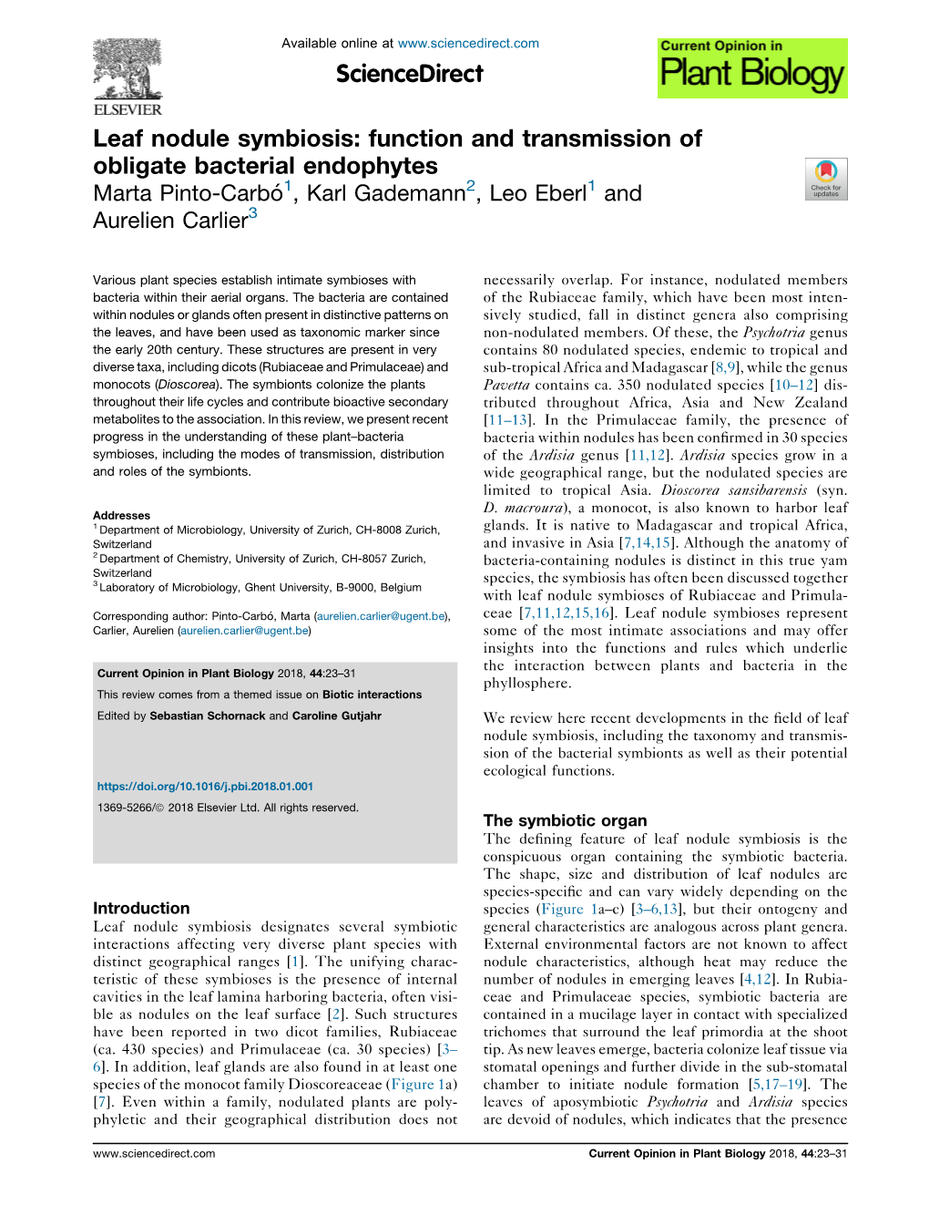 Leaf Nodule Symbiosis: Function and Transmission of Obligate Bacterial Endophytes