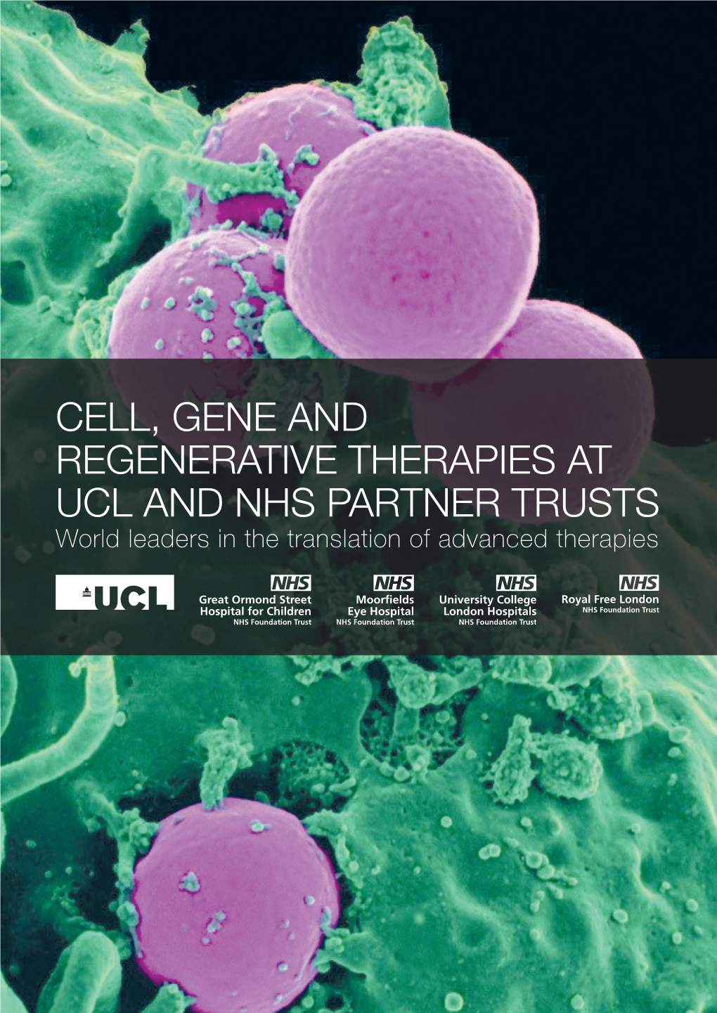 CELL, GENE and REGENERATIVE THERAPIES at UCL and NHS PARTNER TRUSTS World Leaders in the Translation of Advanced Therapies
