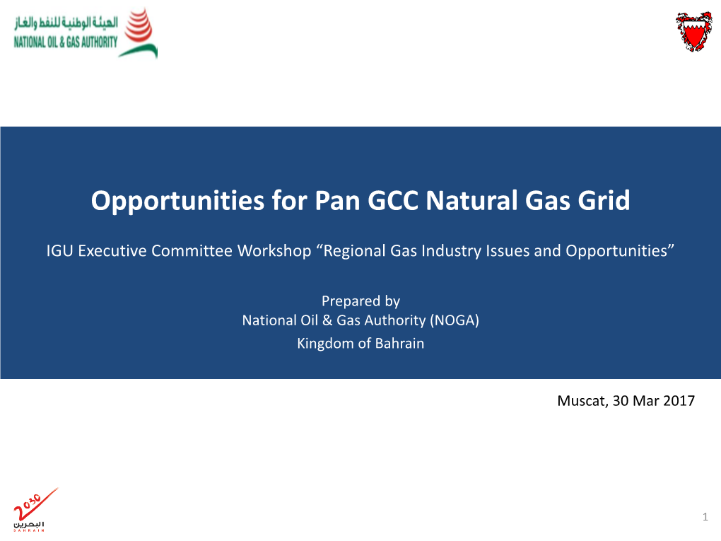 Opportunities for Pan GCC Natural Gas Grid