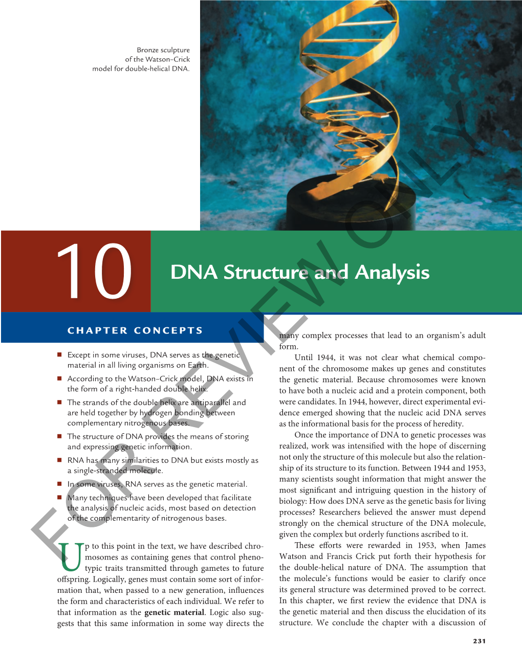 10 DNA Structure and Analysis Chapter Concepts Many Complex Processes That Lead to an Organism’S Adult Form