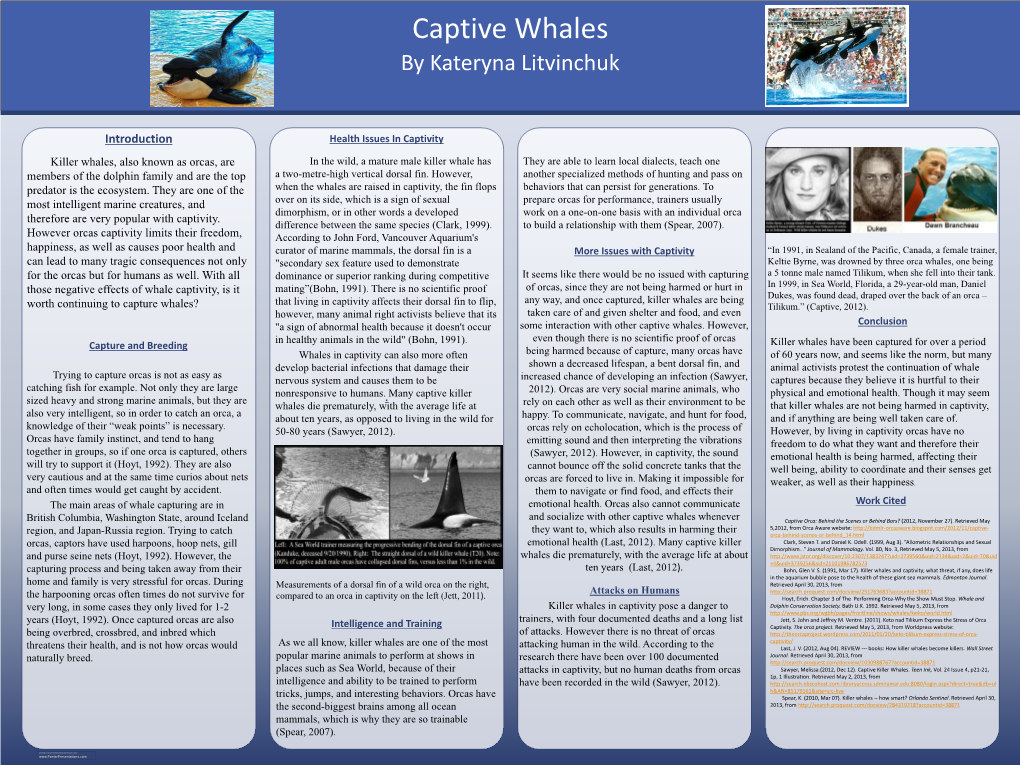 Captive Whales (--THIS SECTION DOES NOT PRINT--)