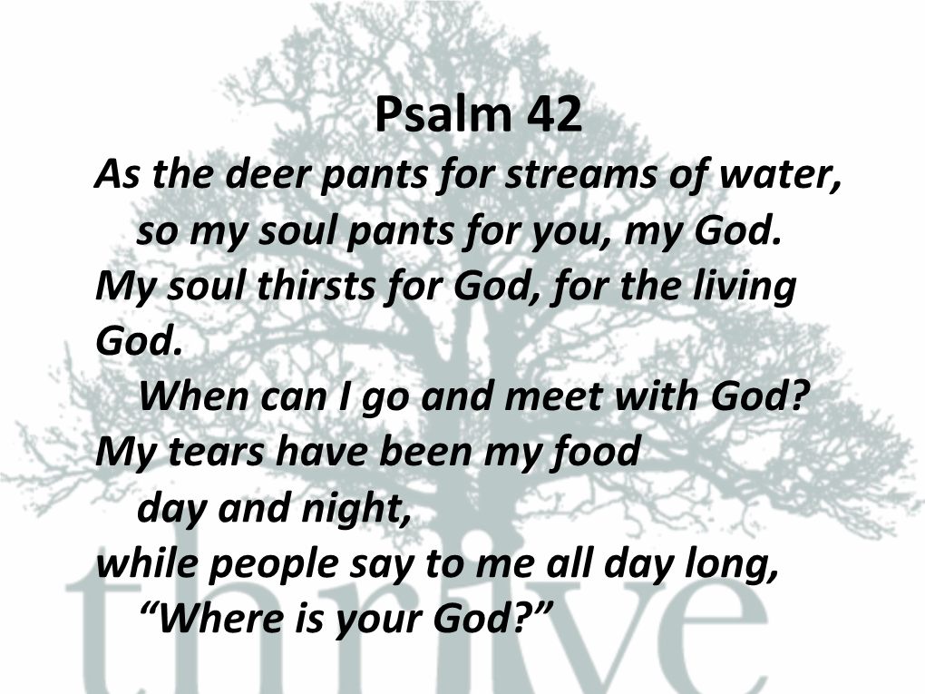 Psalm 42 As the Deer Pants for Streams of Water, So My Soul Pants for You, My God