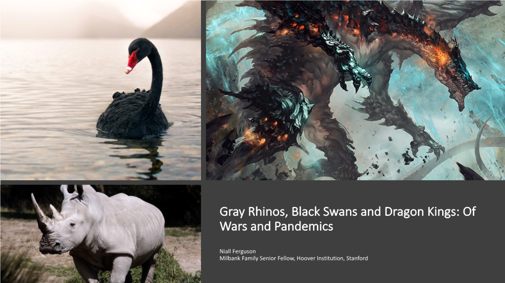 Black Swans, Dragon Kings and Gray Rhinos