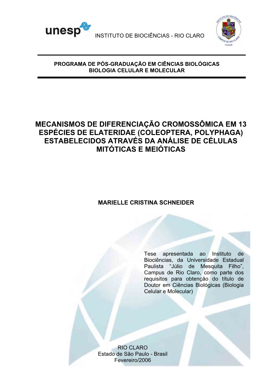 Mecanismos De Diferenciação Cromossômica Em 13 Espécies De Elateridae (Coleoptera, Polyphaga) Estabelecidos Através Da