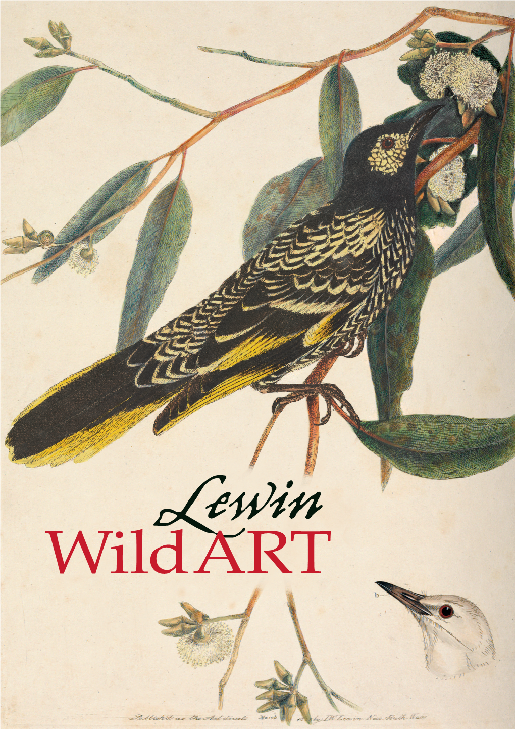 Lewin Wild Art Exhibition Guide