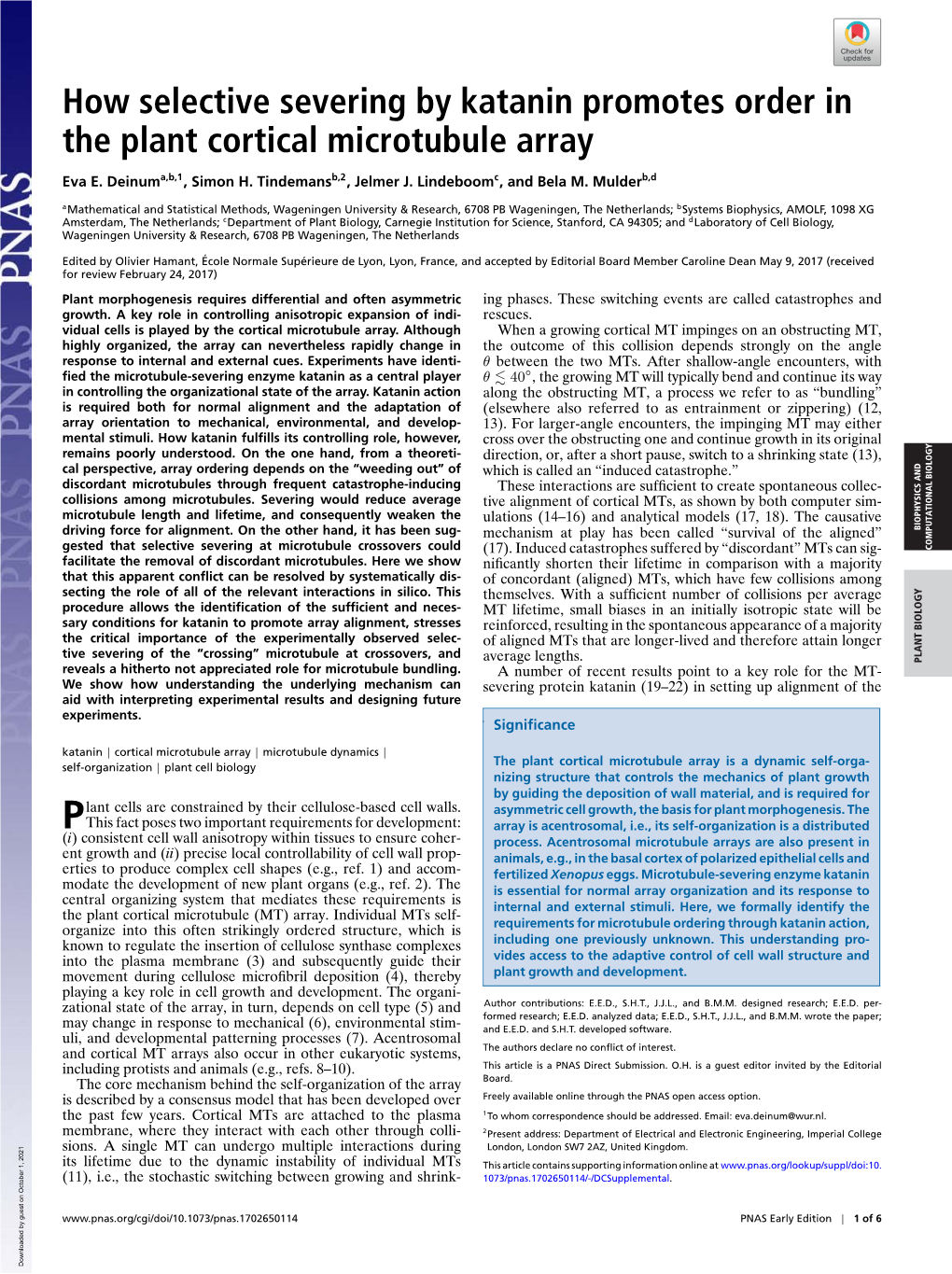 How Selective Severing by Katanin Promotes Order in the Plant Cortical