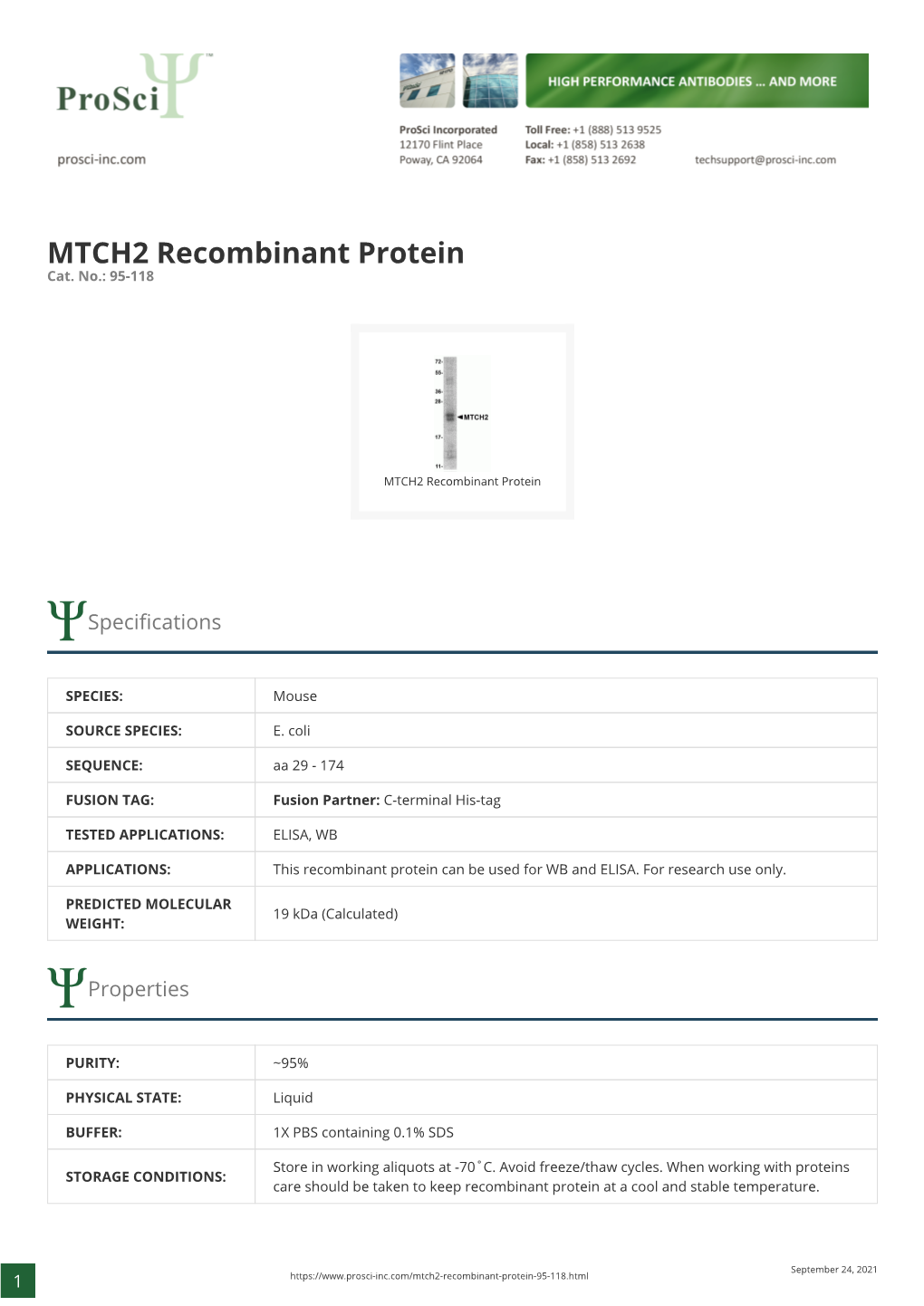 MTCH2 Recombinant Protein Cat