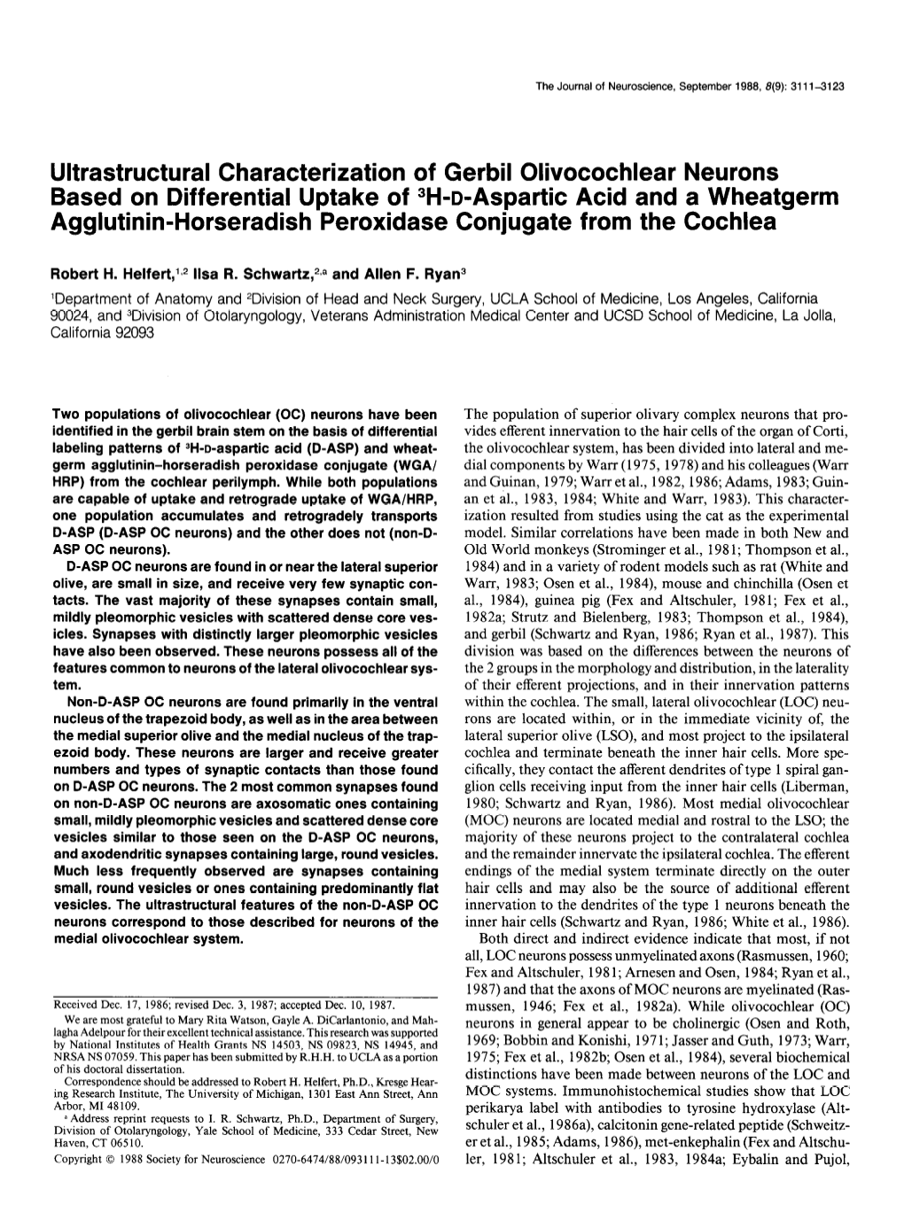 Ultrastructural Characterization of Gerbil Olivocochlear Neurons