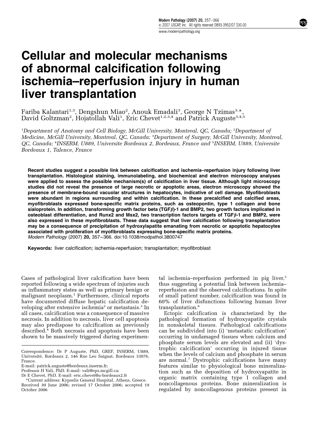 Cellular and Molecular Mechanisms of Abnormal Calcification Following Ischemia–Reperfusion Injury in Human Liver Transplantation