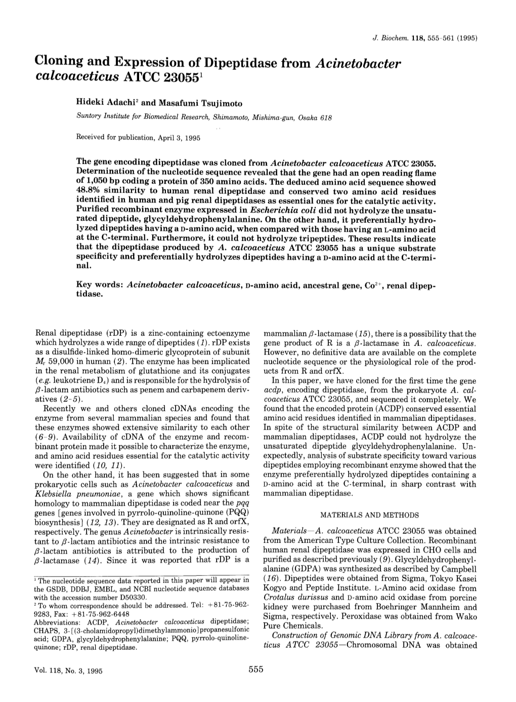 Cloning and Expression of Dipeptidase from Acinetobacter Calcoaceticus ATCC 230551