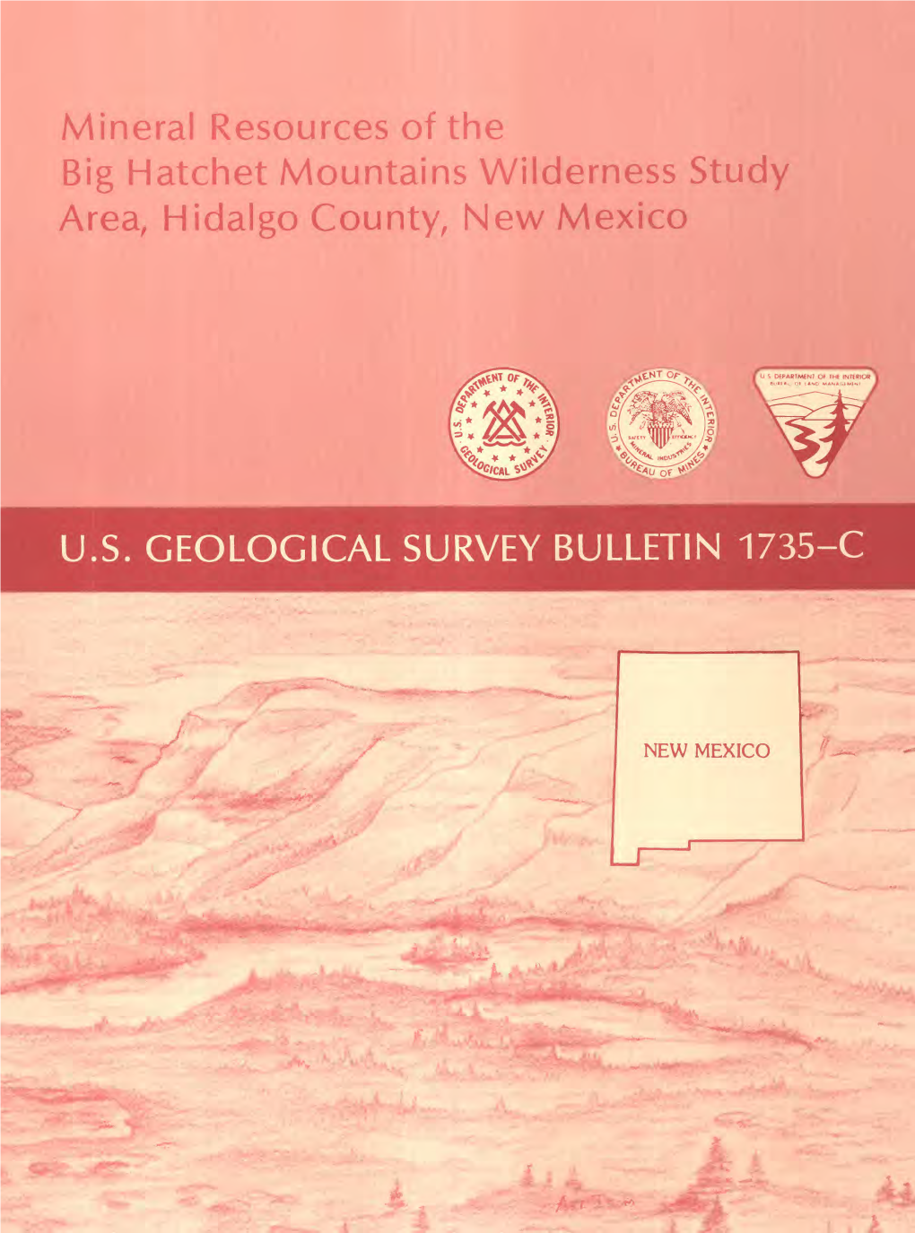 Mineral Resources of the Area, Hidalgo County, New Mexico