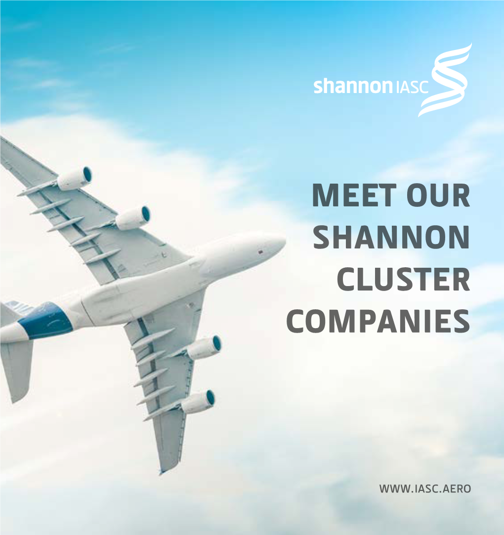 Meet Our Shannon Cluster Companies