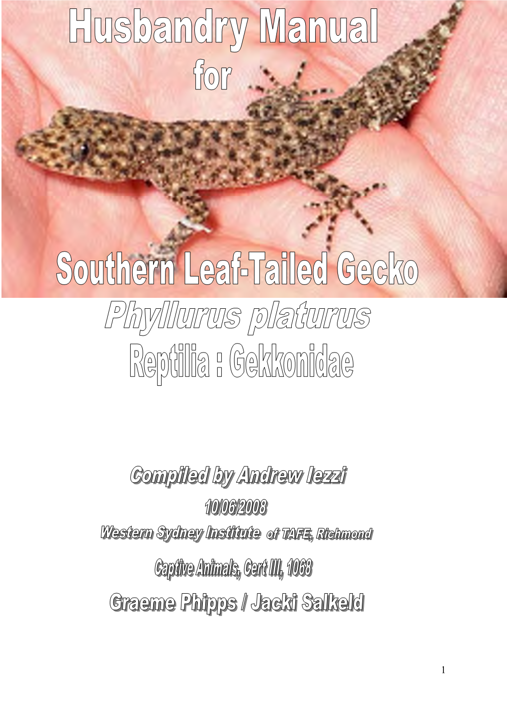 Southern Leaf Tailed Gecko.Pdf