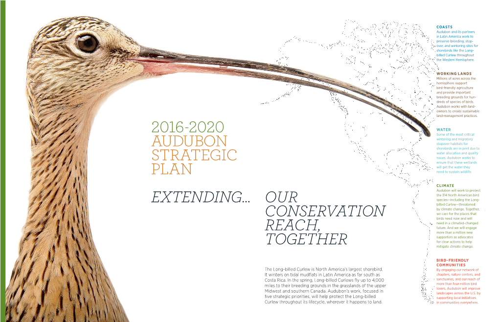 Our Conservation Reach, Together 2016-2020 Audubon