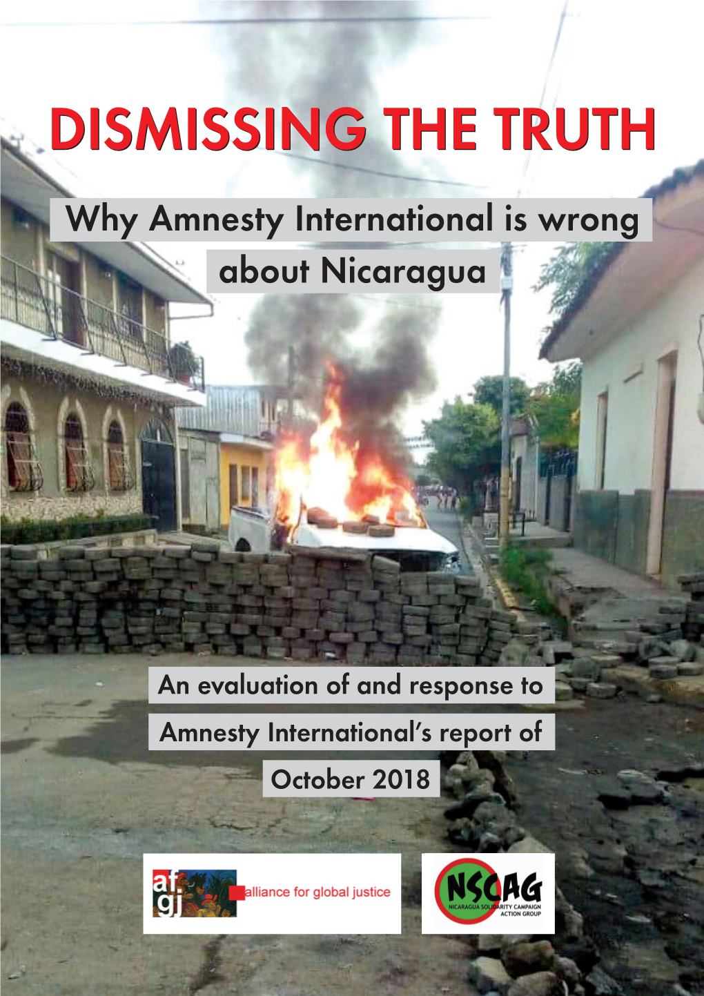 Dismissing the Truth -Why Amnesty International Is Wrong About