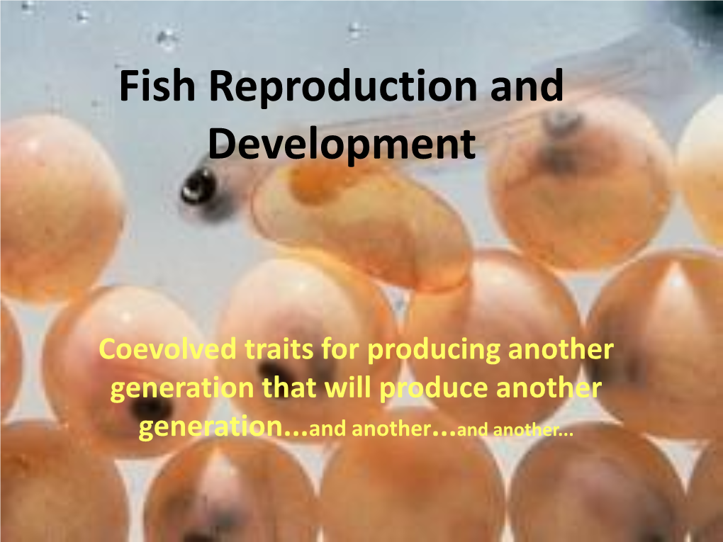 Fish Reproduction and Development