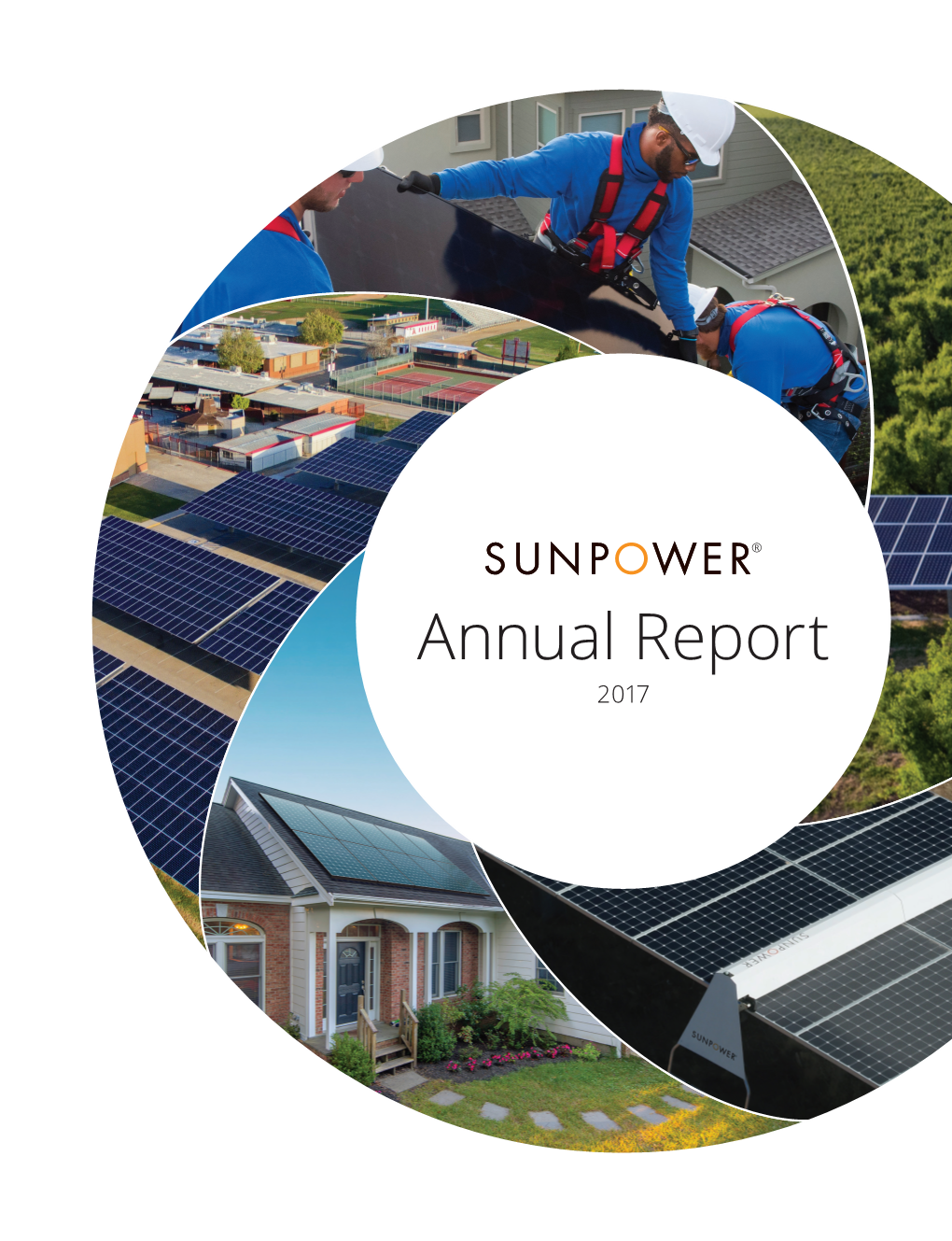 2017 Annual Report, Via the Internet