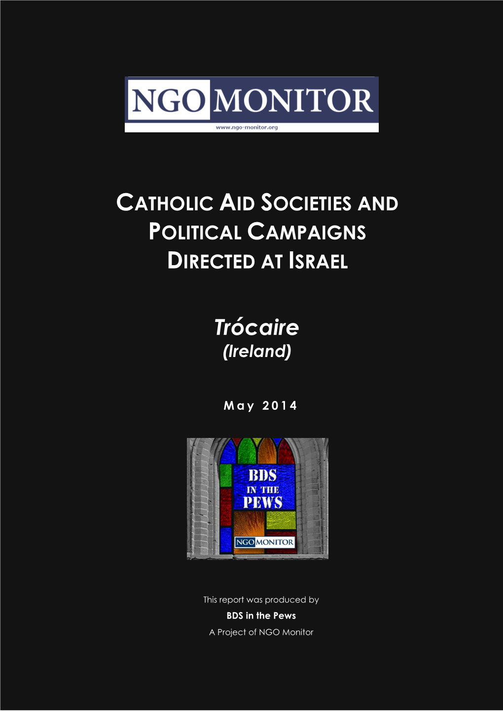 Catholic Aid Societies and Political Campaigns Directed at Israel: Trócaire