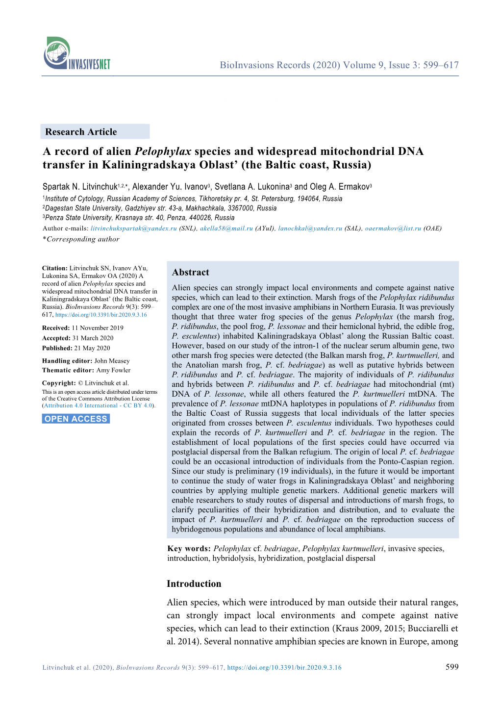 A Record of Alien Pelophylax Species and Widespread Mitochondrial DNA Transfer in Kaliningradskaya Oblast’ (The Baltic Coast, Russia)