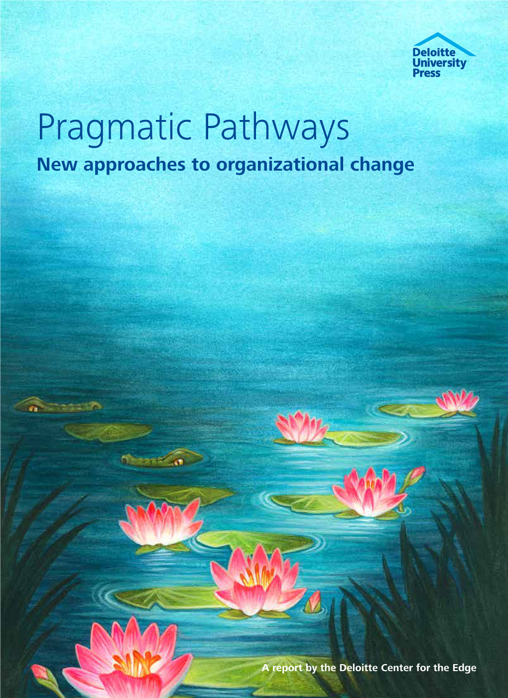 Pragmatic Pathways New Approaches to Organizational Change