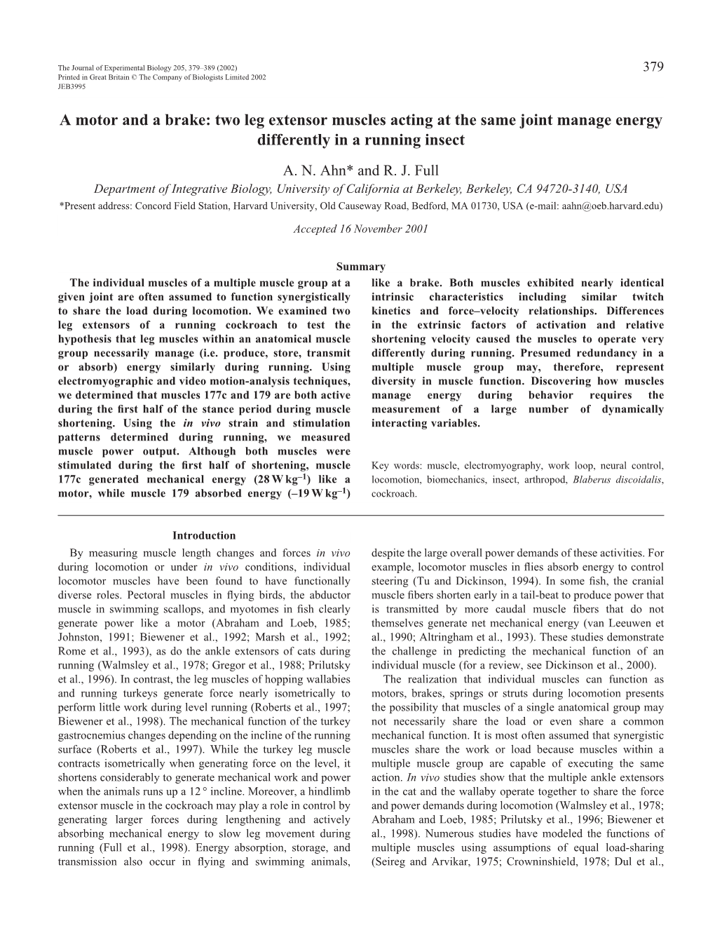 A Motor and a Brake: Two Leg Extensor Muscles Acting at the Same Joint Manage Energy Differently in a Running Insect A