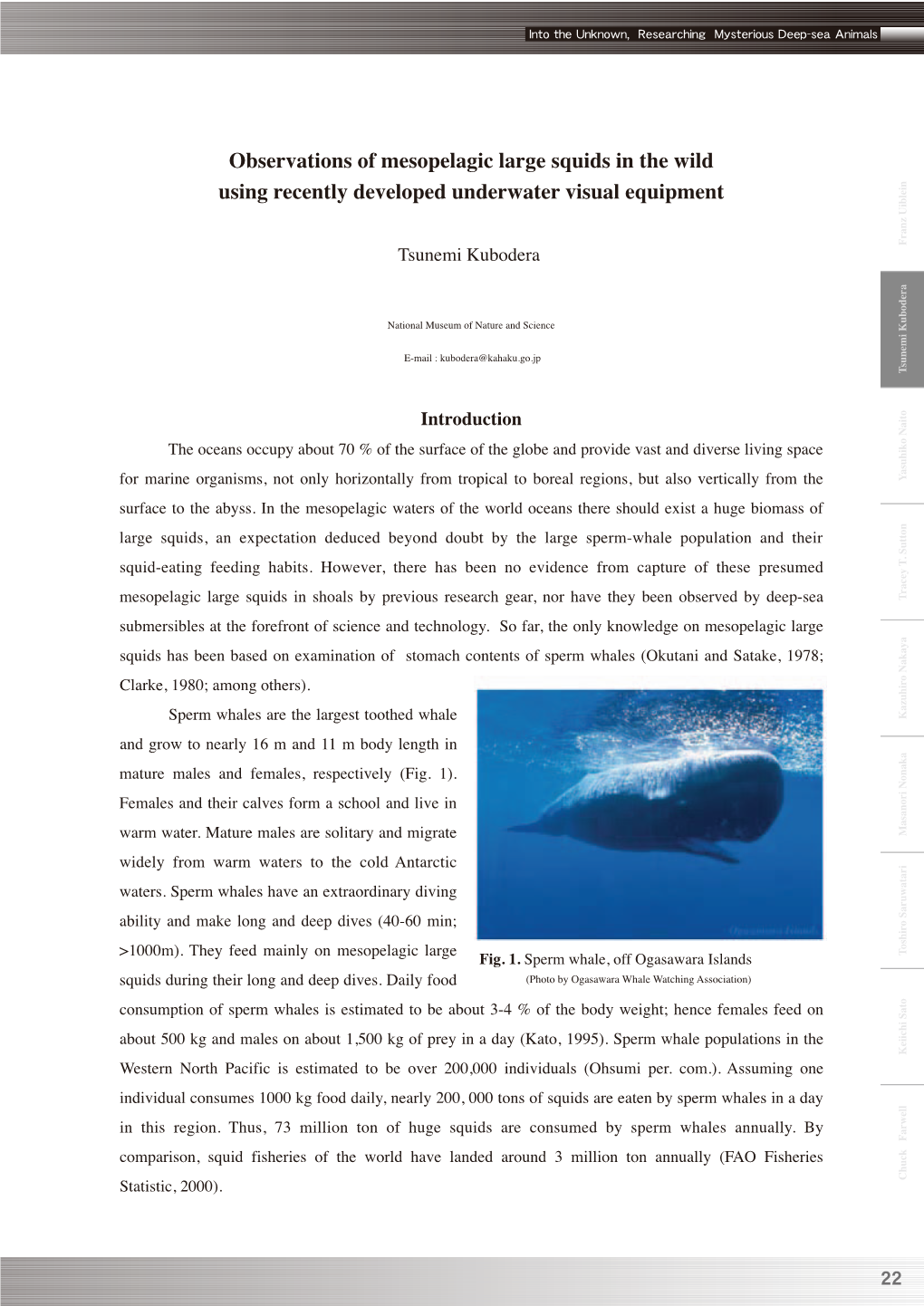 Observations of Mesopelagic Large Squids in the Wild Using Recently Developed Underwater Visual Equipment