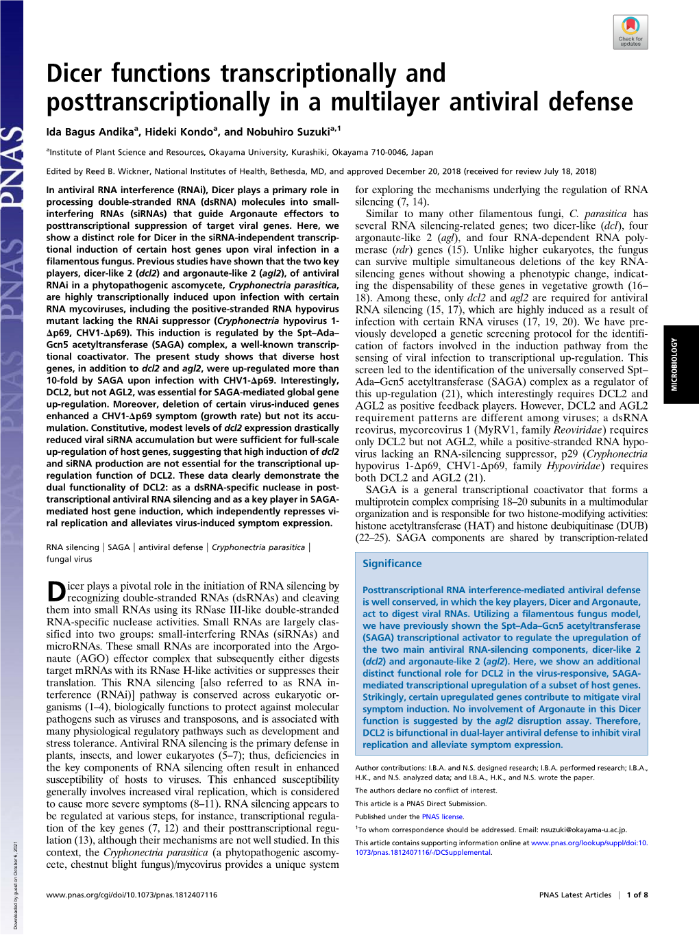 Dicer Functions Transcriptionally and Posttranscriptionally in a Multilayer Antiviral Defense