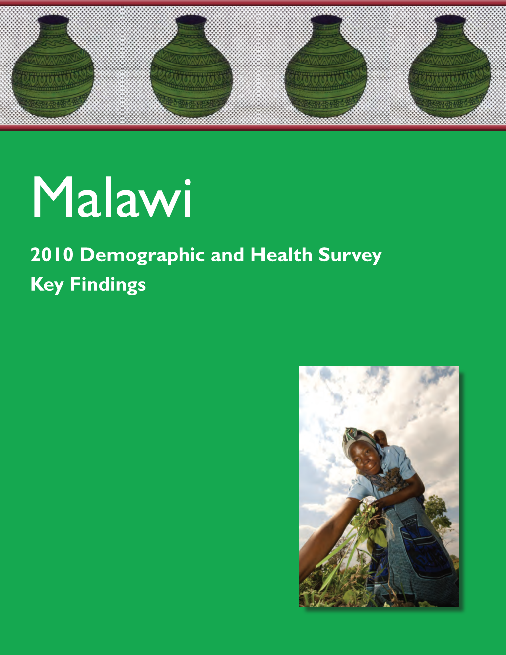 Malawi 2010 Demographic and Health Survey