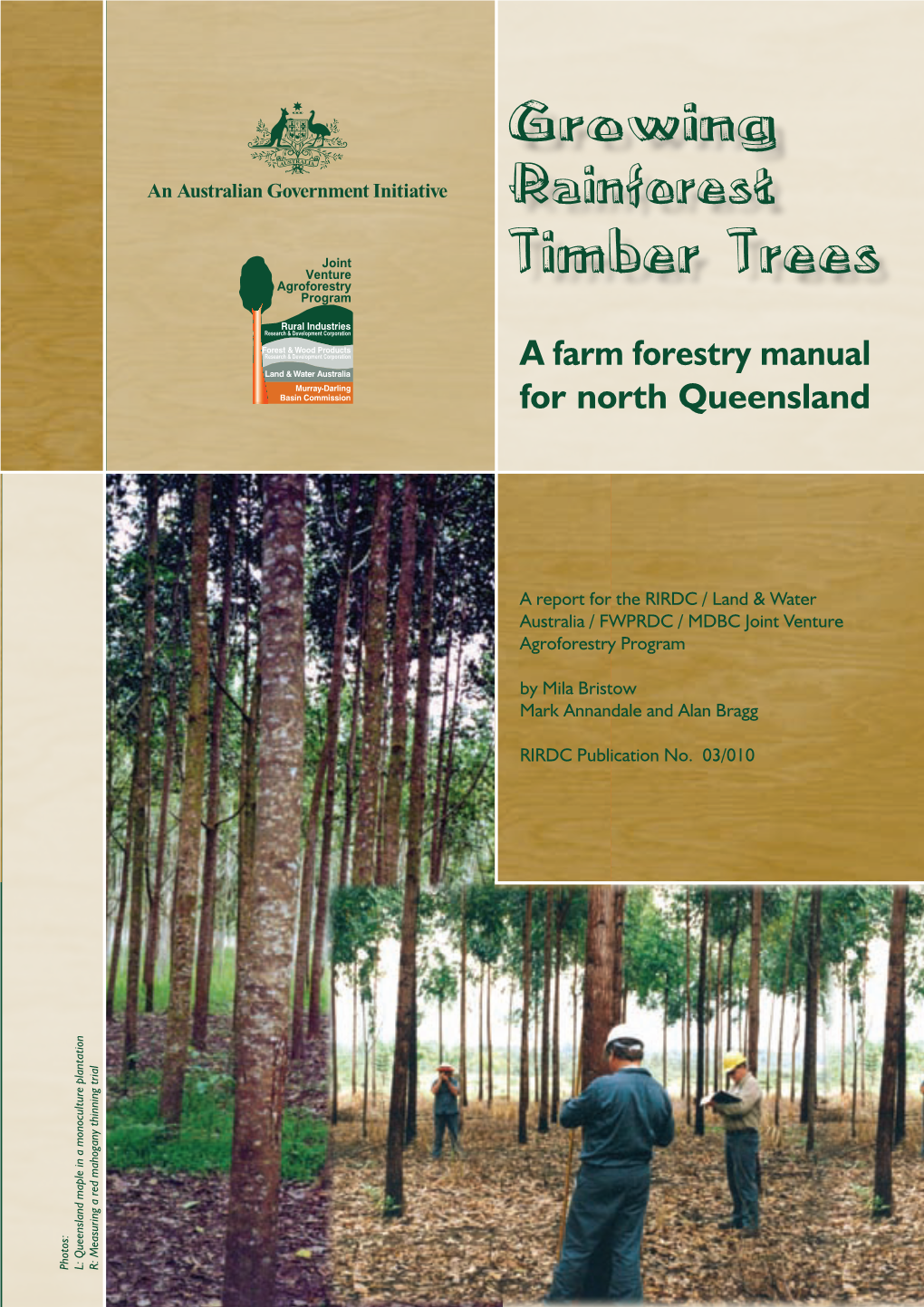 Timber Trees