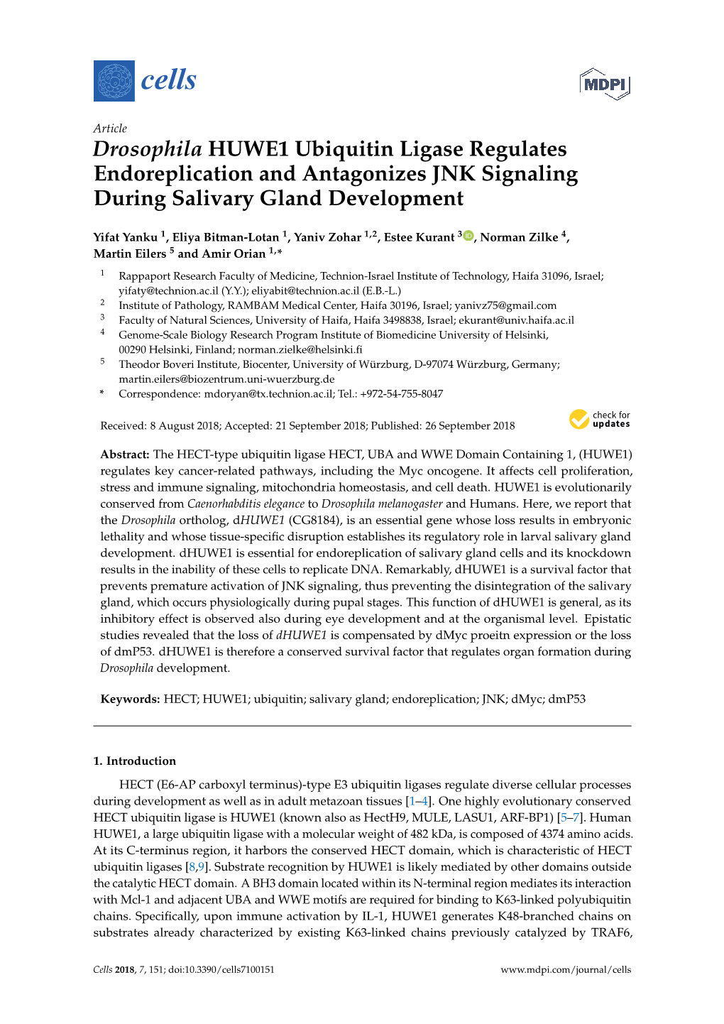 Drosophila HUWE1 Ubiquitin Ligase Regulates Endoreplication and Antagonizes JNK Signaling During Salivary Gland Development