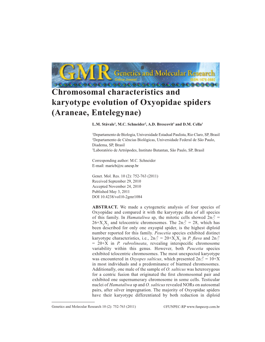 Chromosomal Characteristics and Karyotype Evolution of Oxyopidae Spiders (Araneae, Entelegynae)