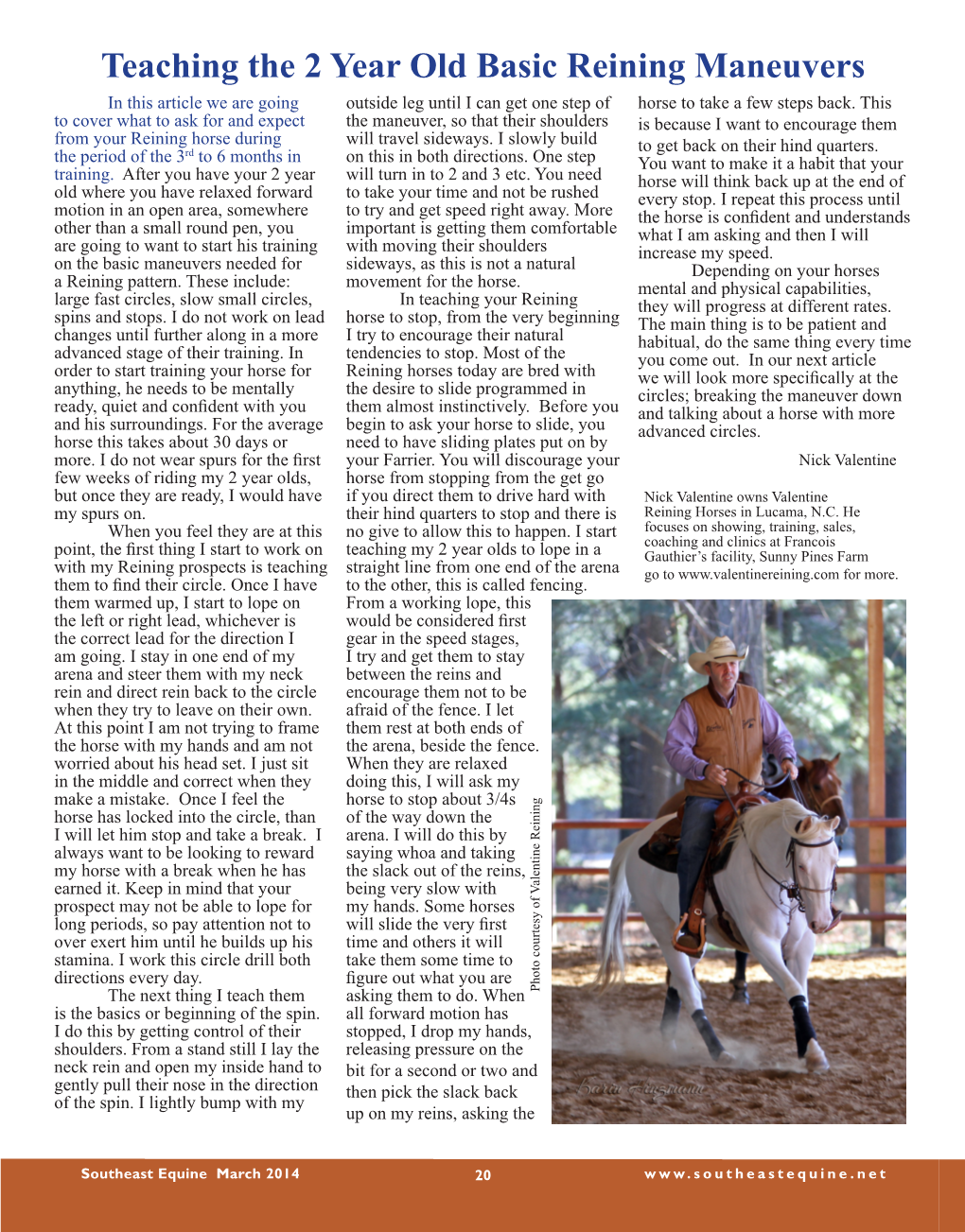 Teaching the 2 Year Old Basic Reining Maneuvers in This Article We Are Going Outside Leg Until I Can Get One Step of Horse to Take a Few Steps Back