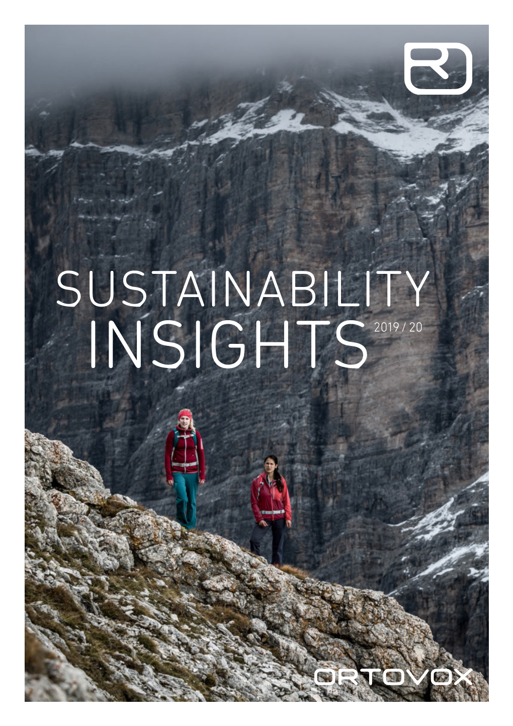 Sustainability Insights2019 / 20 Preface