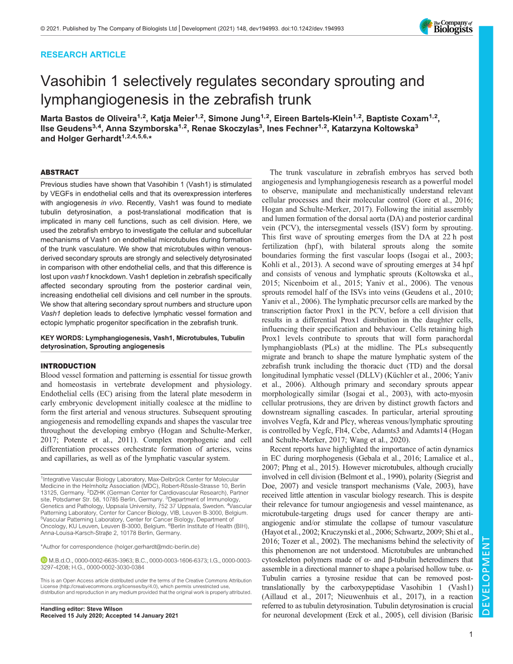 Vasohibin 1 Selectively Regulates Secondary Sprouting And