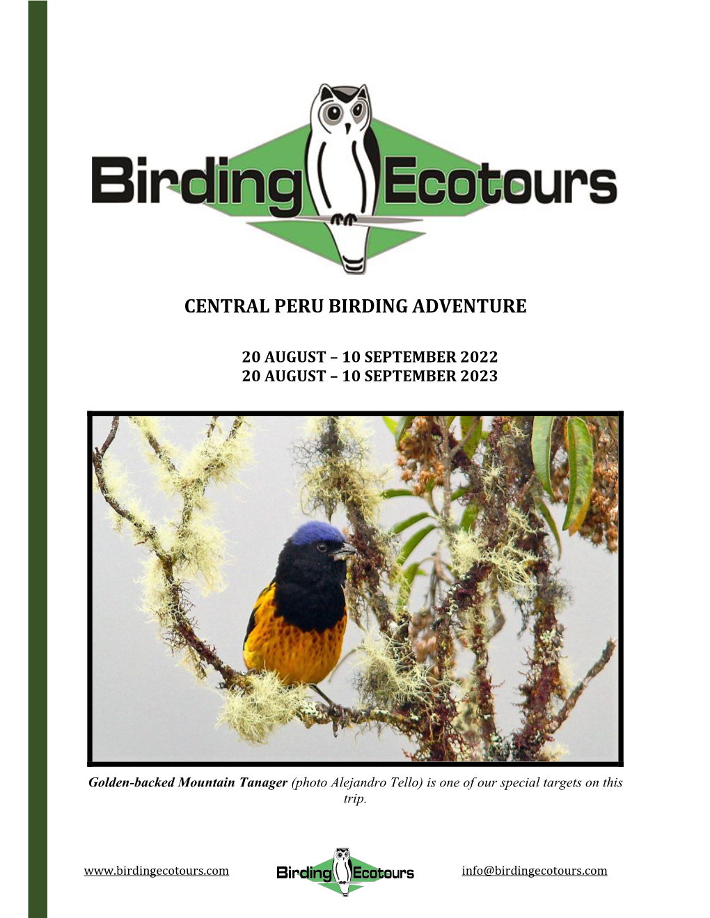 Central Peru Birding Adventure