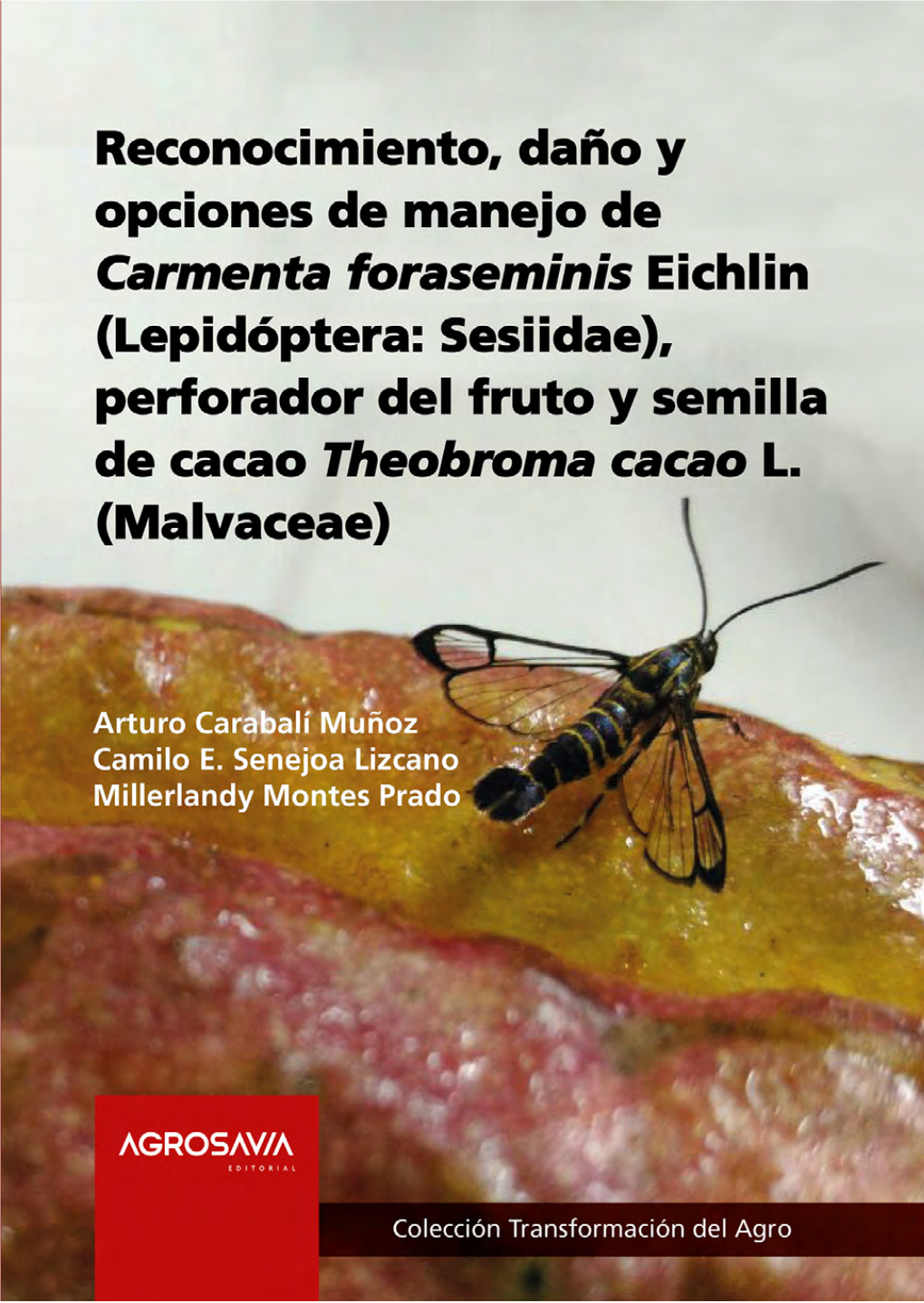 Carmenta Foraseminis Eichlin (Lepidóptera: Sesiidae), Perforador Del Fruto Y Semilla De Cacao Theobroma Cacao L