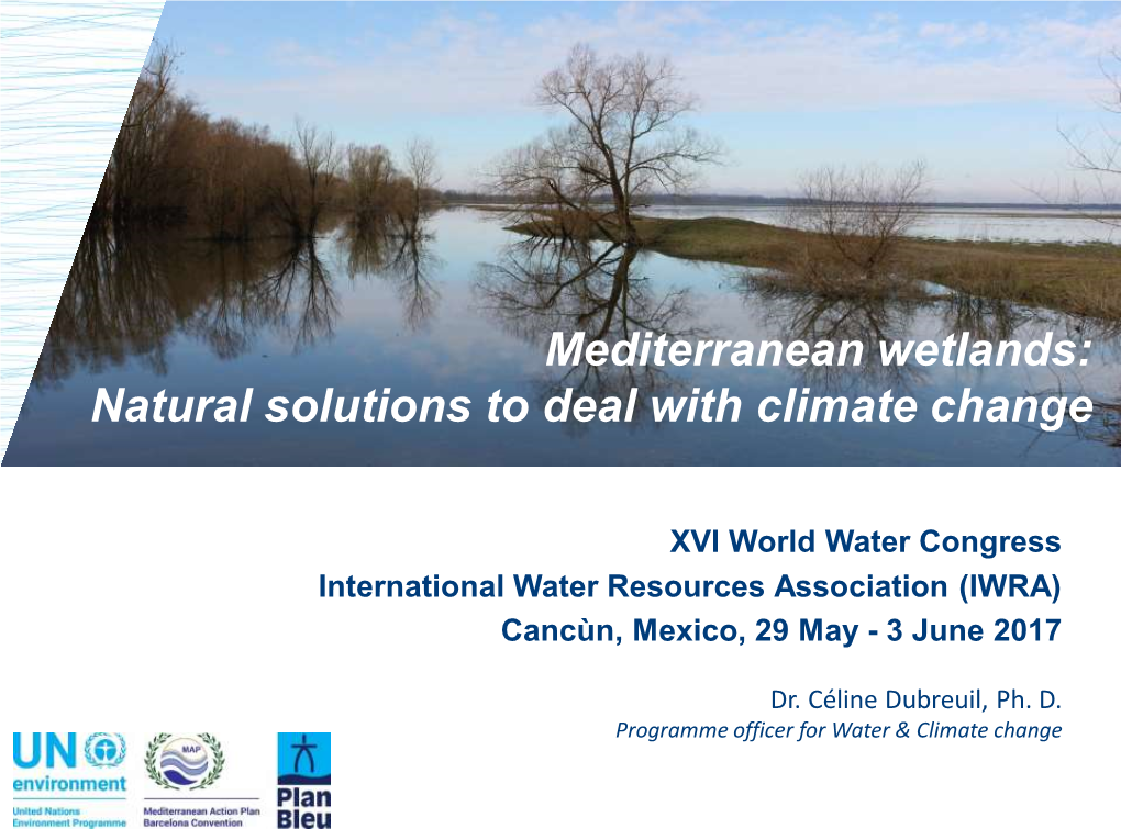 Mediterranean Wetlands: Natural Solutions to Deal with Climate Change