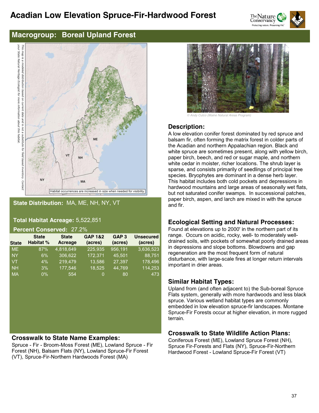 Acadian Low Elevation Spruce-Fir-Hardwood Forest