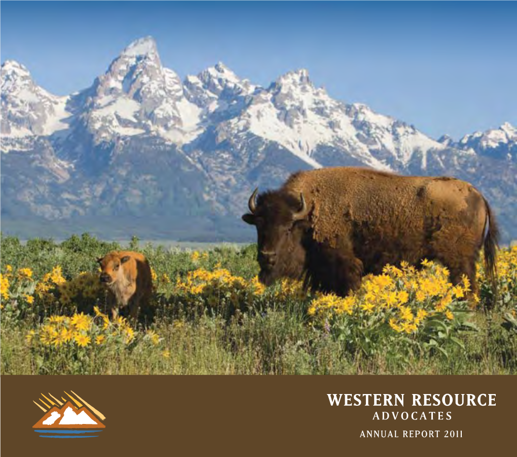 Annual Report 2011 Protecting the West’S Land, Air, and Water from the President