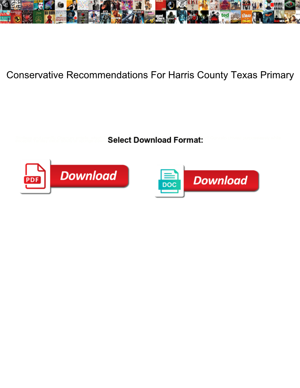 Conservative Recommendations for Harris County Texas Primary