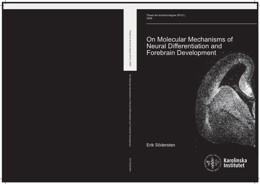 On Molecular Mechanisms of Neural Differentiation and Forebrain Development on Molecular Mechanisms of Neural Differentiation and Forebrain Development