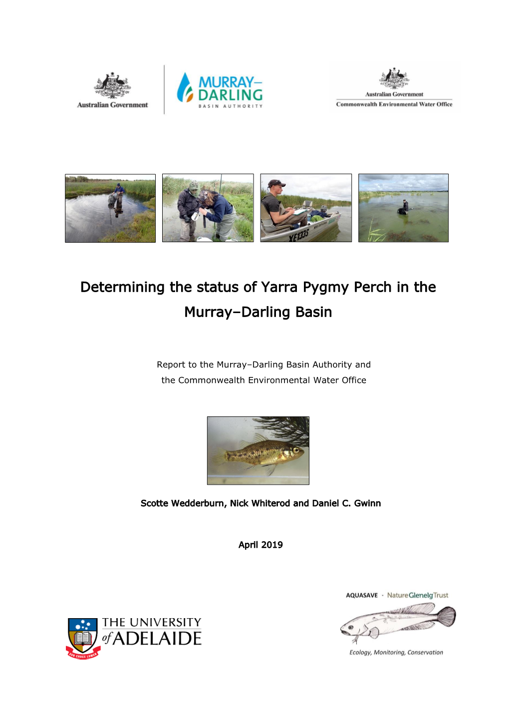 Determining the Status of Yarra Pygmy Perch in the Murray–Darling Basin